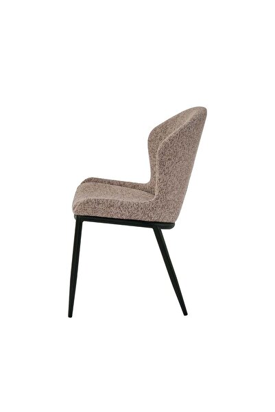 Danube Home Flash Dining Chair Set of 2 - Brown Metal Dining Chairs for Dining Room, 2 Years Warranty