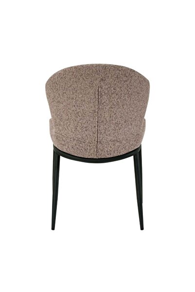 Danube Home Flash Dining Chair Set of 2 - Brown Metal Dining Chairs for Dining Room, 2 Years Warranty