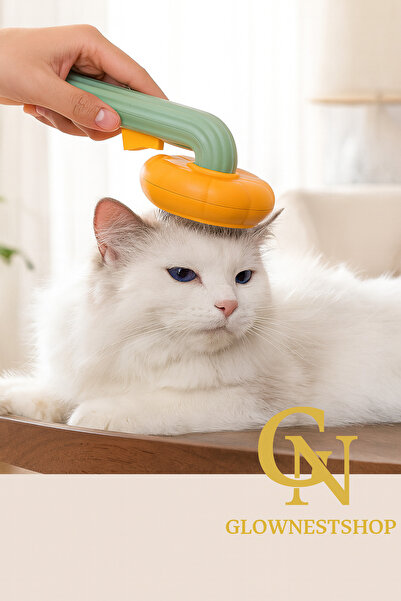 GlowNestshop Pumpkin Design Cat and Dog Hair Removal Comb