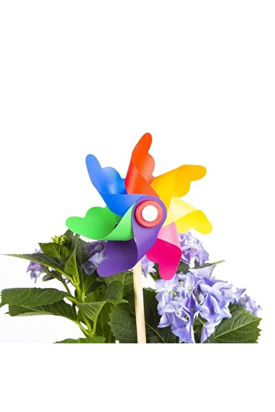 bahçe market Rüzgar Gülü 14 Cm