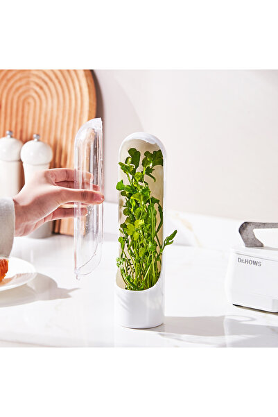 Ch Long Leaf Container: Enjoy your Fresh Siege for as long as possible!