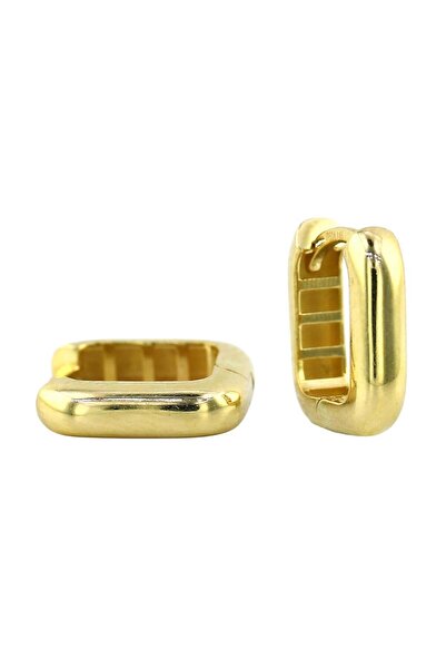 Altınkaynak 14 Ayar Altın Tasarım Küpe - 0200848