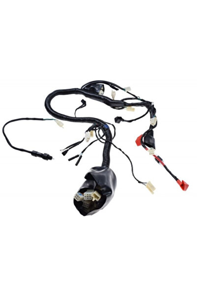 OEM Instalatie electrica ATV 250cc ST-9E