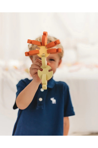 MOES CIRCLE CONNECT 50 PIECES