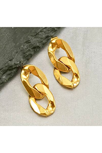 Rachel Silver Altın Renk Gurmet Model Çivi Kilitli Sallantılı Küpe