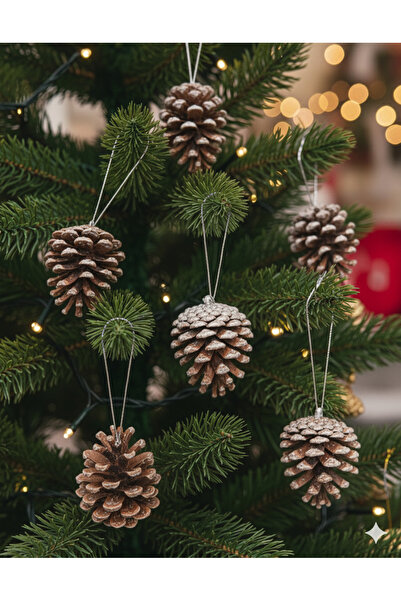 DODOMAR زينة شجرة عيد الميلاد على شكل مخروط 4 سم، مجموعة من 6 قطع - زخرفة طبيعية مطلية بالورنيش تبدو مغطاة بالثلج