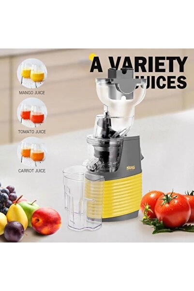 DSP Whole Slow Juicer