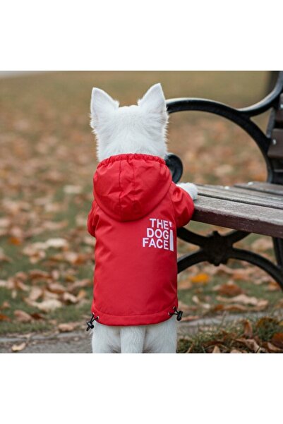 OEM Geacă cu glugă, pentru animale de companie mici și mijlocii, sistem închidere velcro, MDL-2410