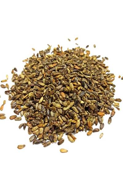 bitki diyarı Camel thorn 200 gr