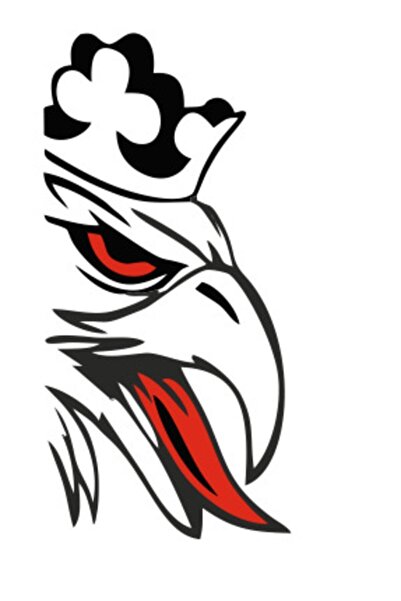 EYBA STİCKER Scania Sticker, Beyaz Renk 20cm X 40cm Sağ Ve Sol Takım