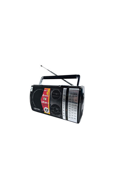 OEM LT-LW 10 Portable radio with powerful speaker