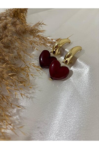 stainless steell Burgundy Heart Steel Earrings