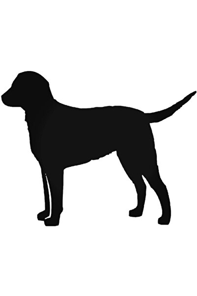 EYBA STİCKER ملصق حائط للسيارة من Great Swiss Mountain Dog مقاس 20 سم