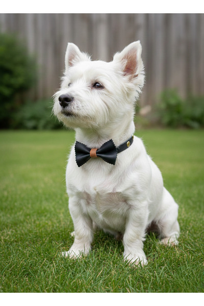 balkonda طوق للكلاب من الجلد الطبيعي مع مشبك قابل للتعديل للسلالات الصغيرة وا...