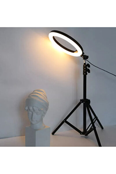 OEM Professional Circular LED Ring Light RGB 33cm Q MG33