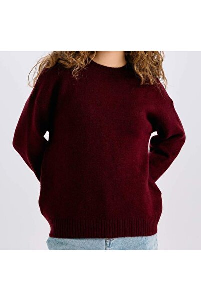 Vaniza Standard Size Plain L Sweater