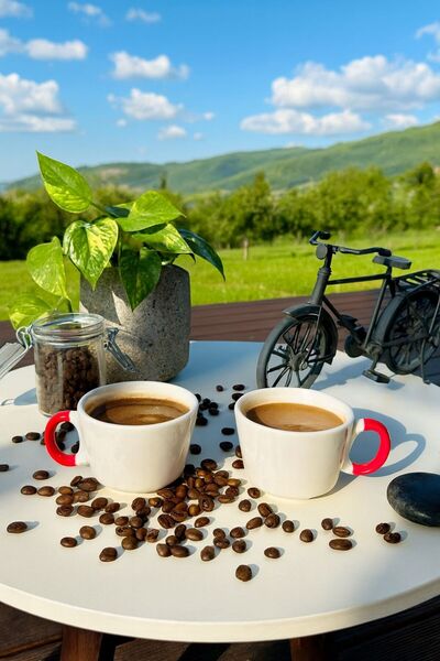 PİNK DESİGN KİTCHEN Coffee Cup Set of 2