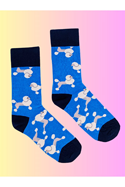 Shuttle Park Special Series Happy Colorful Cute Dog Patterned Dog Socks Fun Comfortable Stylish Design Style Socks