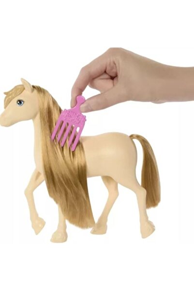 Barbie Mysteries: Set de joacă - Aventura de ponei - maro deschis