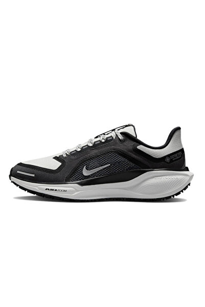 Nike Pegasus 41 GORE-TEX Black Iron Grey