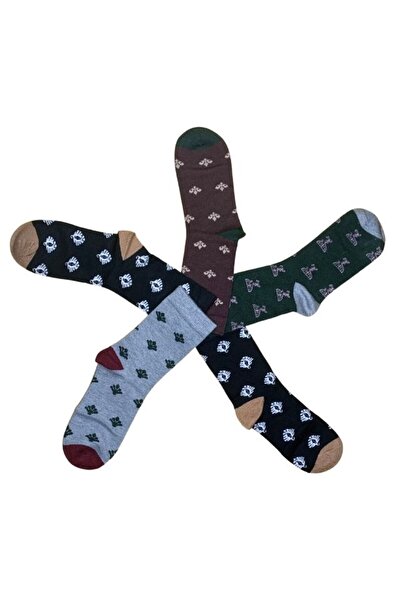 Dacali Set of 5 pairs of men's angora socks AM, Dacali, size 40-44, multicoloured