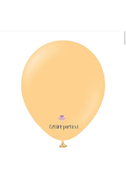Öztürkpartievi Retro Pastel Balloons 15 Pieces Standard Size