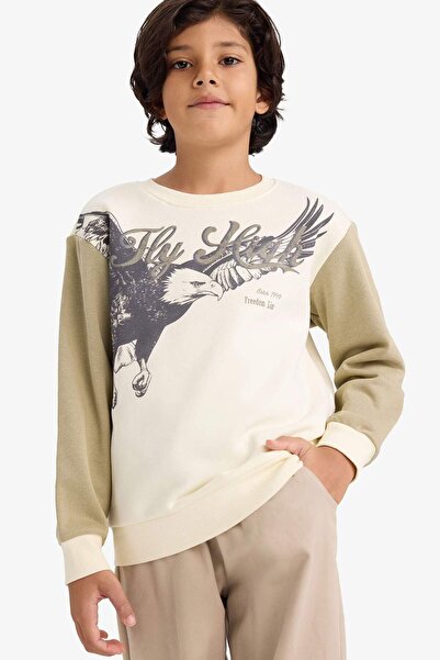 DeFacto Φούτερ για αγόρια με λαιμόκοψη με τύπωμα με μαλακό χνούδι εσωτερικά G5554A825CW