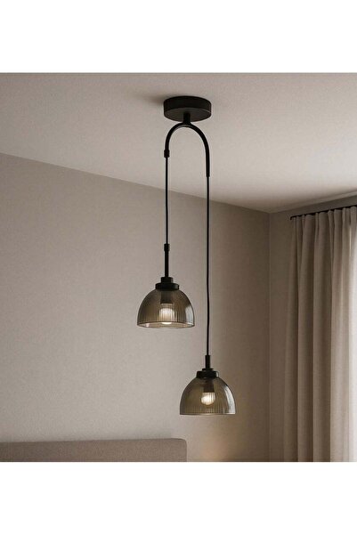 Generic Modern Double-Pendant Ceiling Light, Black with Smoky Glass, E27 Base (Bulbs Not Included)