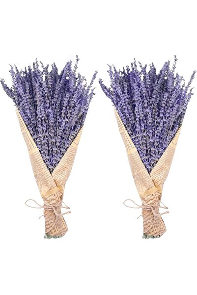 Uieke باقات من زهور اللافندر المجففة، أزهار لافندر مجففة طبيعية، ٢٨٠-٣٠٠ ساق، ١٦ بوصة، باقتان