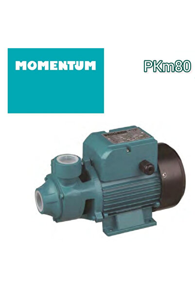 Momentum PKm80 1 Beygir Sürtme Fanlı Santrifüj Pompa