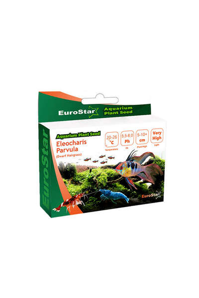 EuroStar 1595403736 Bitki Tohumu (40354) Eleocharis Parvula