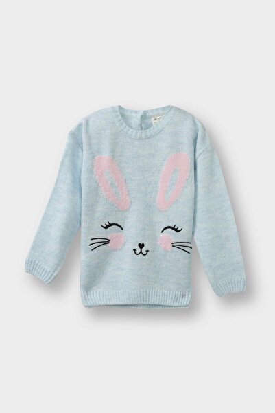 DeFacto Baby Girl Crew Neck Rabbit Printed Knitwear Sweater F2632A525Wn