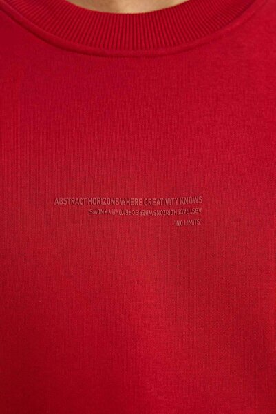 DeFacto Boxy Fit Crew Neck Soft Fleece Printed Sweatshirt X8282Az25Au