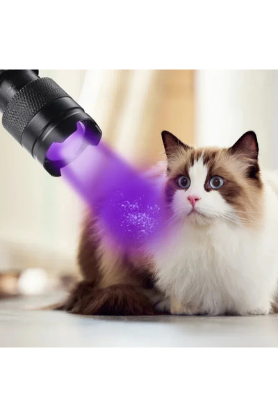 Choice SK68 UV 395 مصباح يدوي بنفسجي بطول موجة UV LED مصباح يدوي محمول 395 نانومتر ضوء أسود فحص بول الحيوانات الأليفة