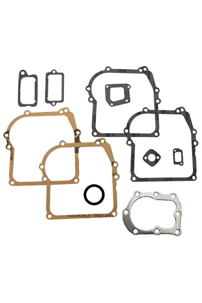 TAIWAN Set garnituri motor Briggs and straton 3.5 CP (seria 298989)