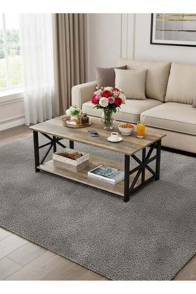 AGD طاولة قهوة مستطيلة ذات طبقتين، ريفية، 100×52×47.5 سم، رمادي