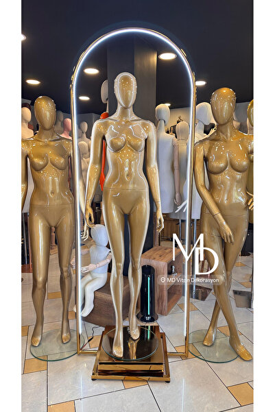 MD Vİtrin Dekorasyon Gold Vitrin Mankeni Gold Ledli Stand Ve Gold Dönen Platform Set