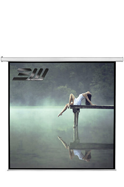 NO BRAND Electric projection screen, wall/ceiling, 200 x 200 cm, BlackMount, 1:1 format