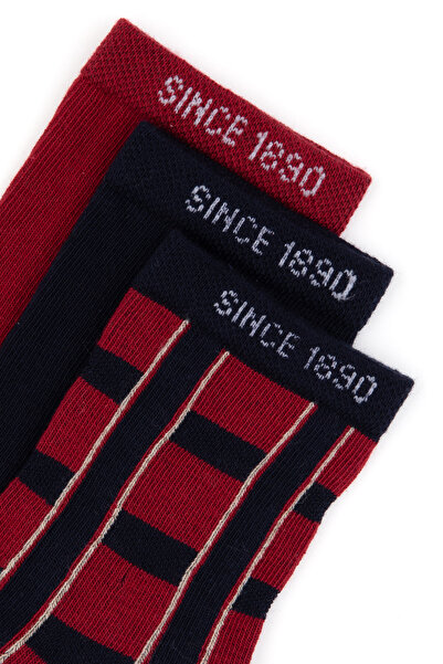 U.S. Polo Assn. Boy's Burgundy Socks 50318057-Vr014