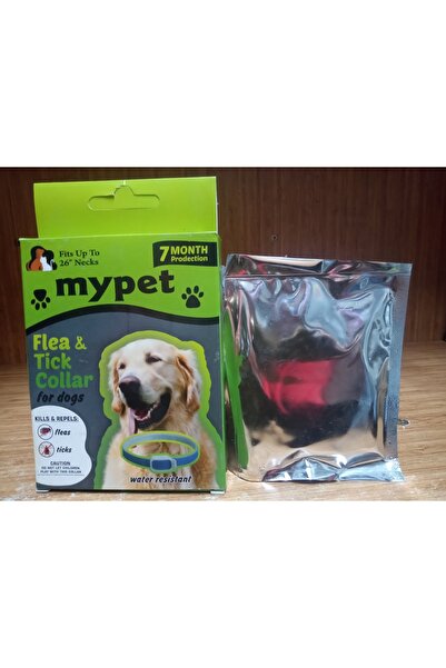 pet MYPET KÖPEK PİRE TASMASI