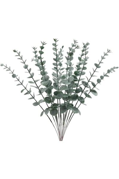 The Bros AMOSTBY 12 قطعة من سيقان الأوكالبتوس الاصطناعية للديكور (أخضر فاتح)