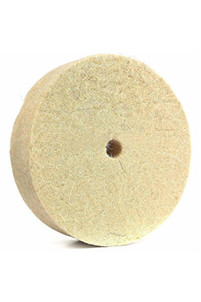 OEM Disc pasla pentru slefuitlustruit diametru 200 mm groasa