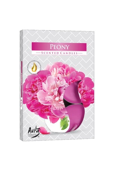 BISPOL Set de 6 lumânări parfumate, Bispol, Ceară, 4 ore, Bujor