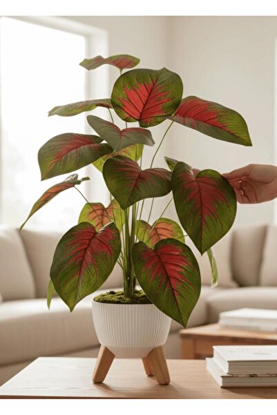 Nettenevime Yapay Çiçek Salon Bitkisi Kızıl Difenbahya 70cm 18 Yaprak Beyaz Z...