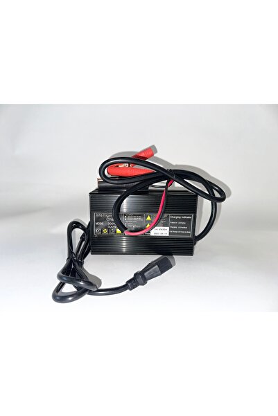 OEM 20A 12V rectifier for lithium batteries (LifePo4)