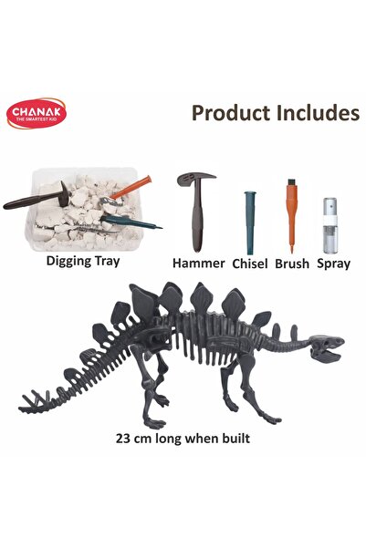 Chanak Stegosaurus Fossil Dig Kit for Kids | STEM Dinosaur Excavation & Skeleton Discovery