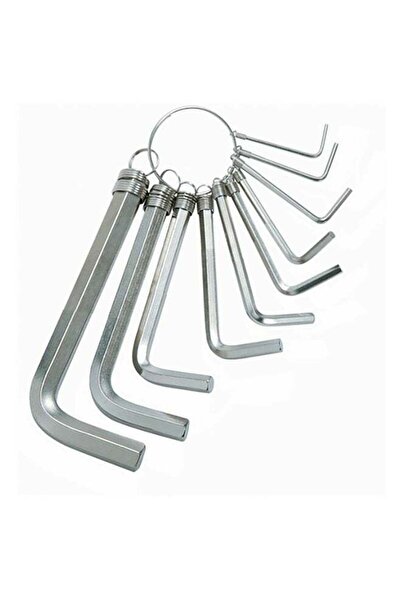 The comprehensive house 10-piece Hex Key Wrench Set - Silver