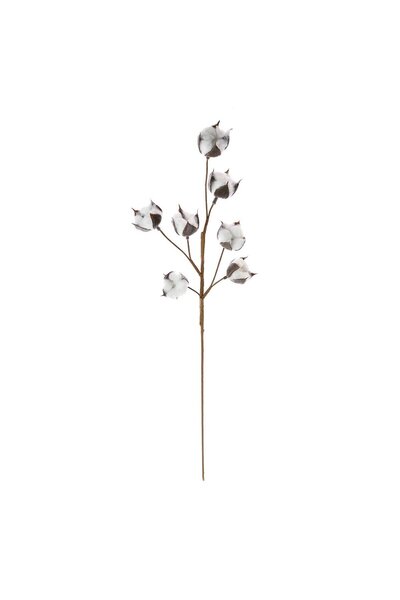SHOPIENS Christmas decoration, twig type, white + brown, 75 cm