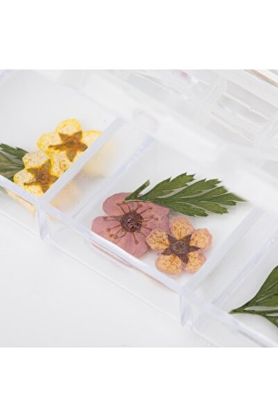 GIRLS CORNER Dried flowers for nail decoration type E