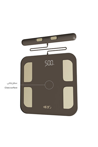 BRIO InBody Body Scale